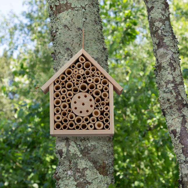 Bee hotel made of untreated wood