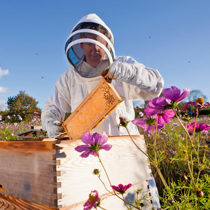 Cotton beekeeping suit with veil and gloves, unisex, XXXL