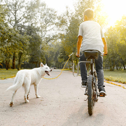 Bicycle leash with distance for dogs