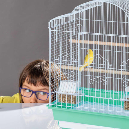 Bird Cage with Accessories