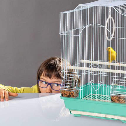 Bird Cage with Perches