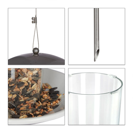 Bird feeder on a stick