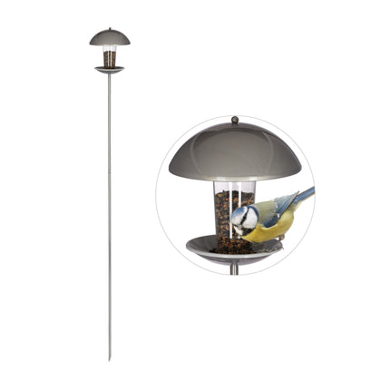 Bird feeder on a stick