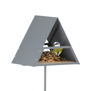 Bird feeder with ground spike
