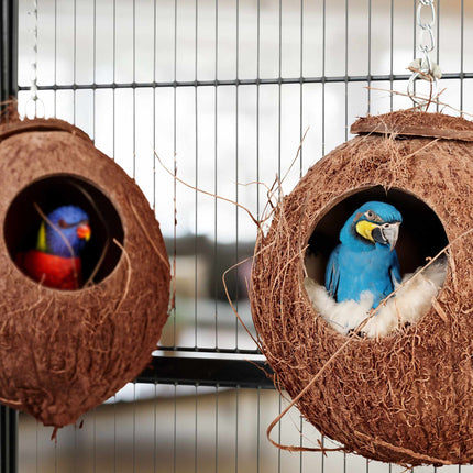 Birdhouse coconut set of 2