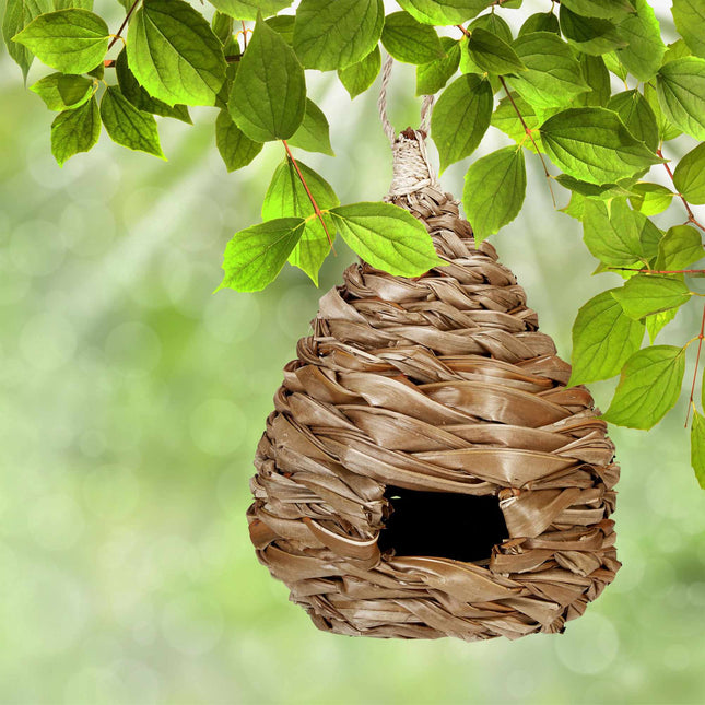 Bird nests in different designs