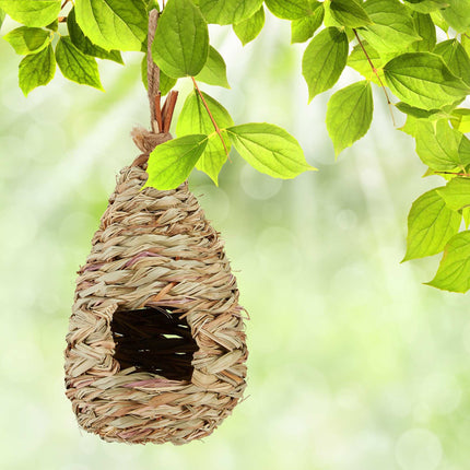 Bird nest to hang