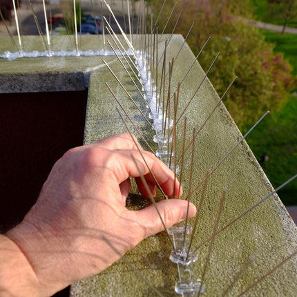 Bird repellent spikes, set of 6
