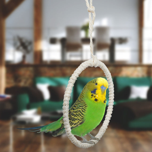 Bird swing ring set of 2