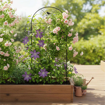 Black Steel Trellis Set for Climbing Plants