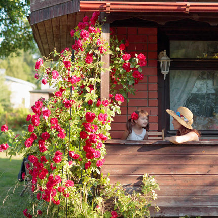 Black Wine Aid - Set of 2