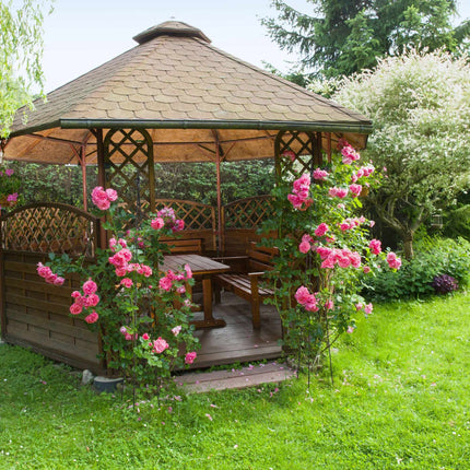 Black Wine Aid - Set of 2