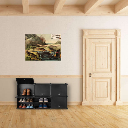 Black shoe cabinet with 12 compartments
