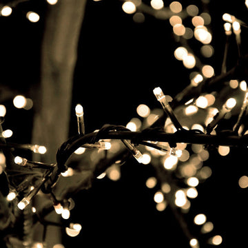 Bliss 5m light string 500 small lights in clusters