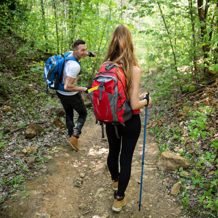 Blue Backpack, 30L, Lightweight, Water-Resistant