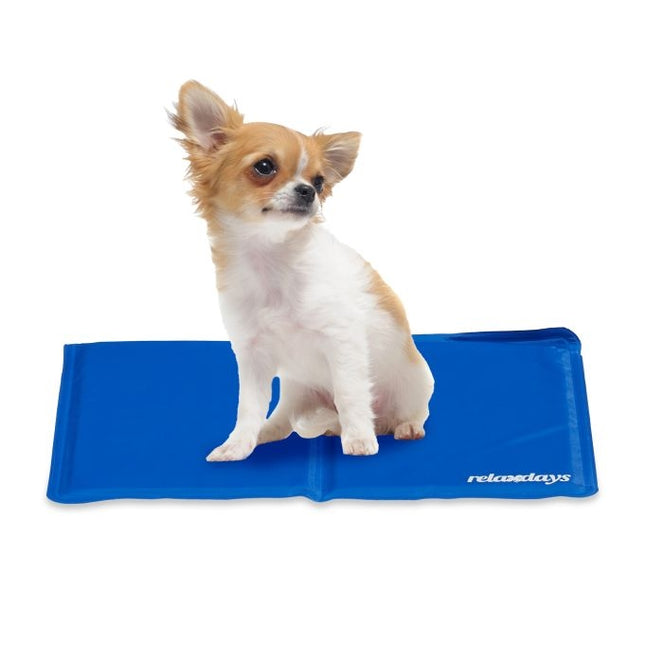 Blue cooling mat for dogs