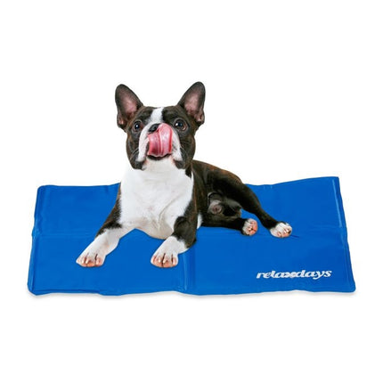 Blue cooling mat for dogs