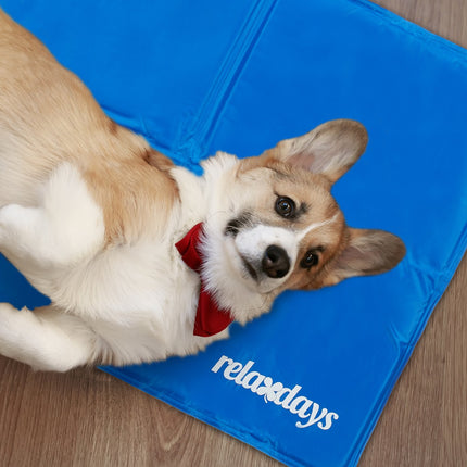 Blue cooling mat for dogs