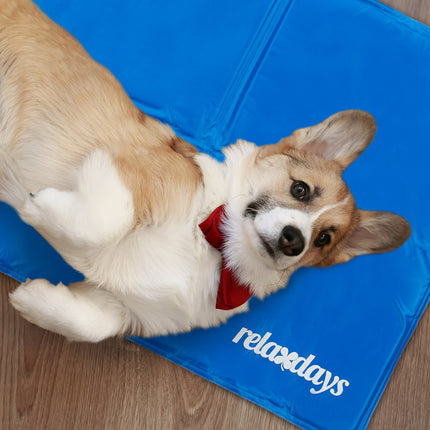Blue cooling mat for dogs