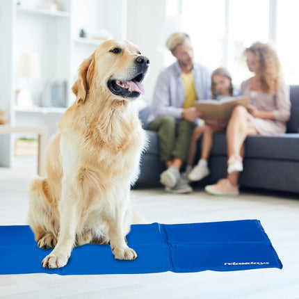 Blue cooling mat for dogs