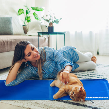 Blue cooling mat for dogs