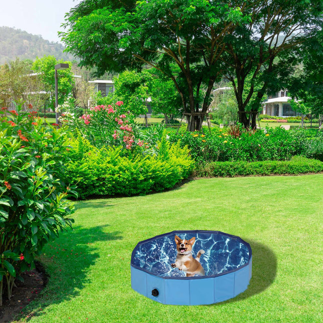 Blue dog pool