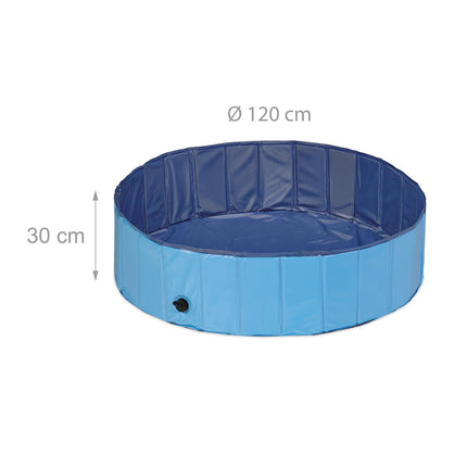 Blue dog pool