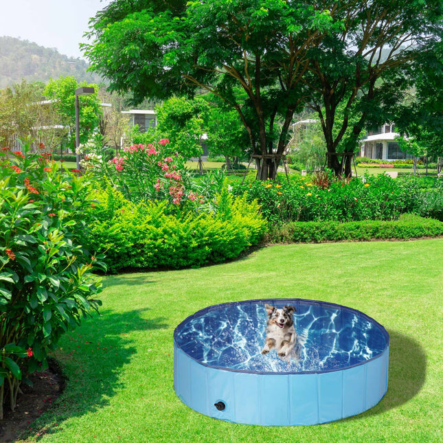 Blue dog pool