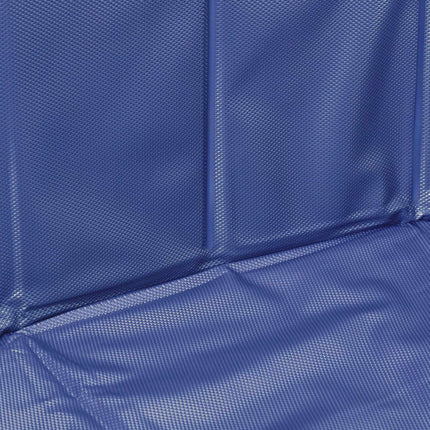 Blue dog pool