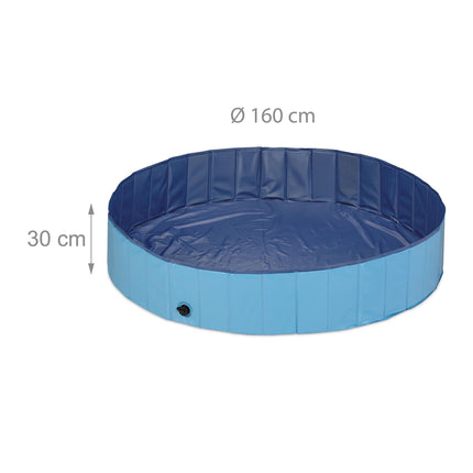 Blue dog pool