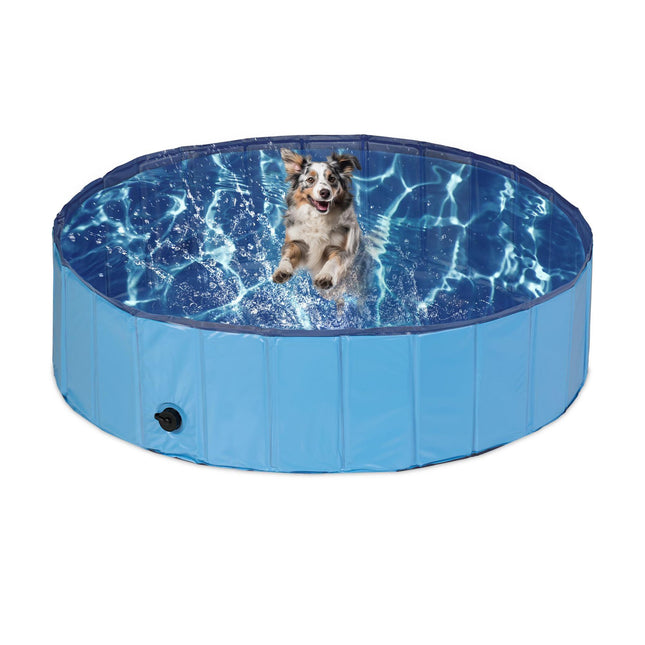 Blue dog pool