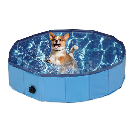 Blue dog pool