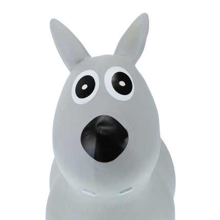 Bouncing animal dog gray