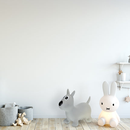 Bouncing animal dog gray