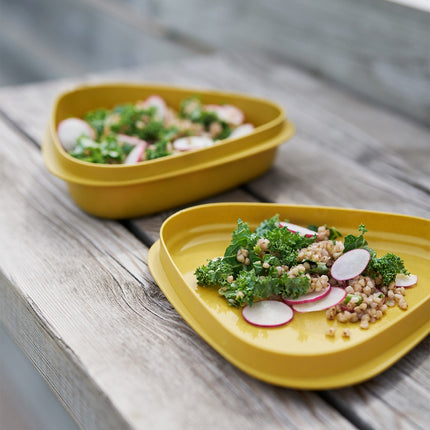 Bowl'nLid Lunchbox Cream