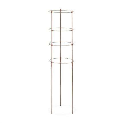 Brown Plant Supports with Rings, 120 cm