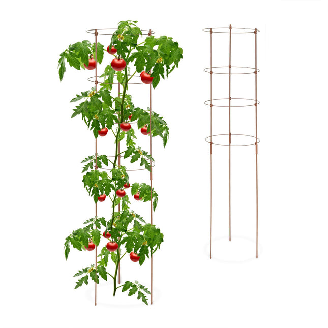 Brown Plant Supports with Rings, 120 cm