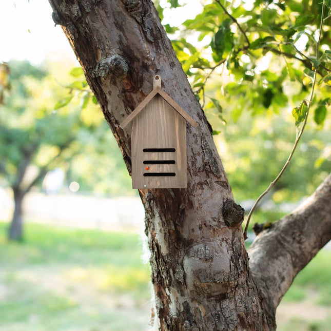 Brown spruce wood ladybug house