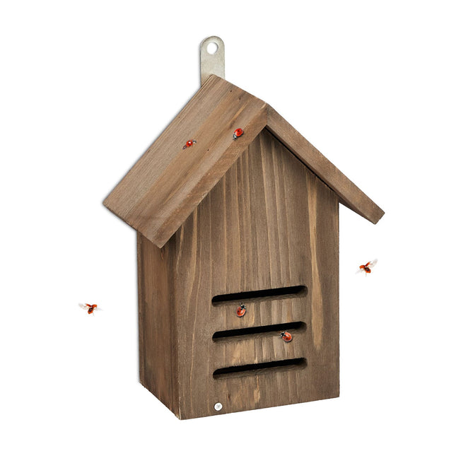 Brown spruce wood ladybug house