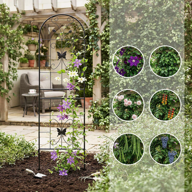 Butterfly Trellis Set, 2 Pcs – Metal Plant Supports