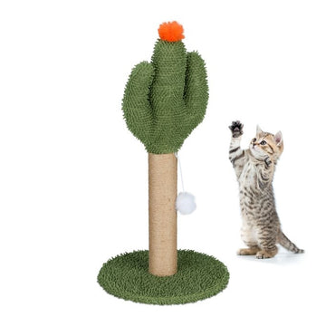Cactus scratching post