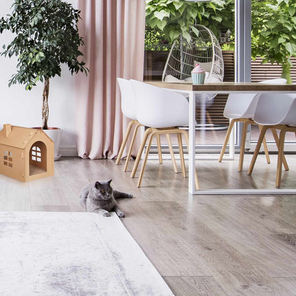 Cardboard Cat House Scratching Board