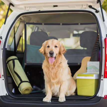 Car separation net for dogs