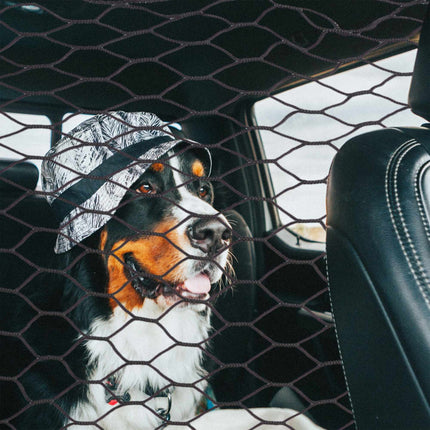 Car separation net for dogs