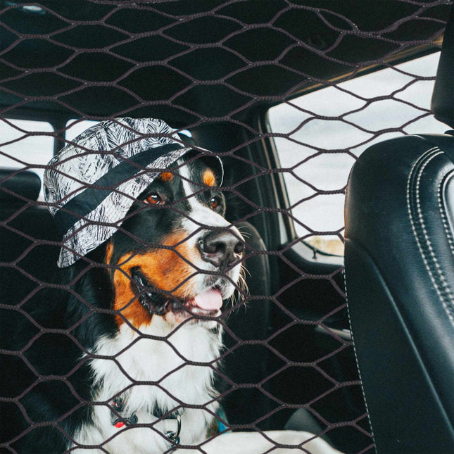 Car separation net for dogs