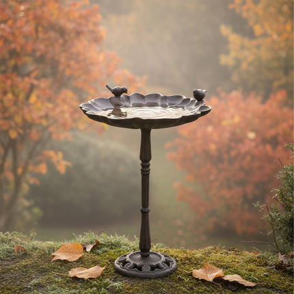 Cast Iron Bird Bath – Standing, Frost-Resistant Basin