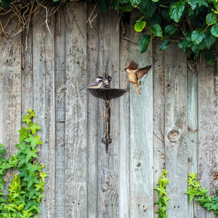 Cast iron bird bath