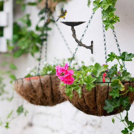Cast iron bird bath