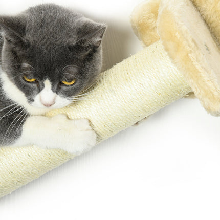 Cat climbing wall set with stairs, scratching posts and hammock