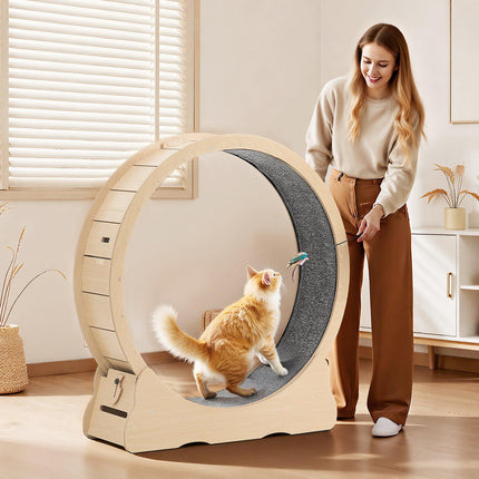 Cat Exercise Wheel 120cm, Wooden, Quiet Locking Base